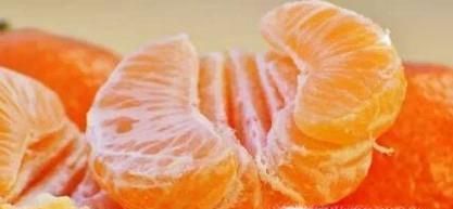 冰箱里不能放什么如何除异味？怎样正确使用冰箱