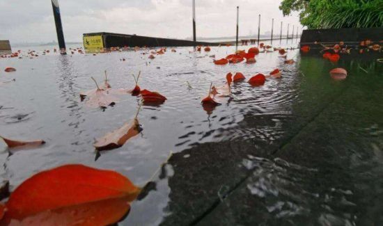 2020上海什么时候出梅