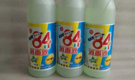 踩死蟑螂然后怎么处理