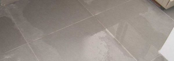 踩死蟑螂然后怎么处理