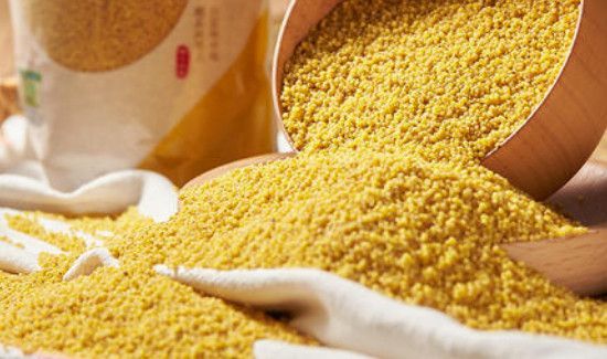 大米和小米能一起熬粥吗