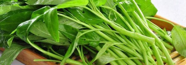 空心菜要焯水要不要过冷水