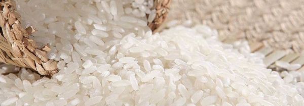 大米和小米能一起熬粥吗