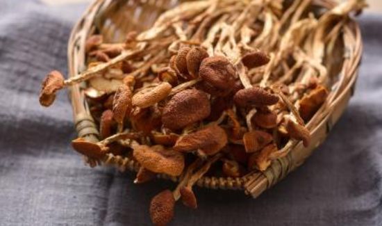 茶树菇不适宜人群