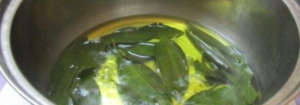 桔子叶子煮水的功效与作用