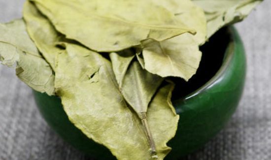 桔子叶子煮水的功效与作用