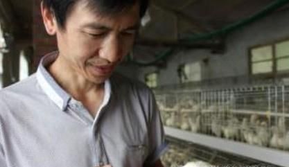 养鸡需要注意哪些事项