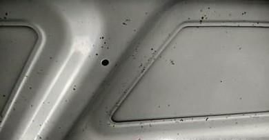 汽车苍蝇屎怎么去除