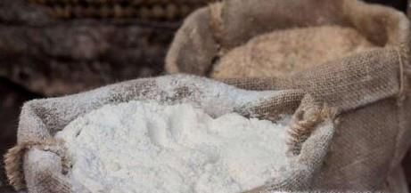 面粉长虫怎么办