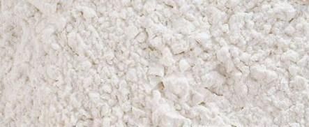 面粉长虫怎么办