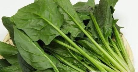 女生多吃哪些食物对身体比较好