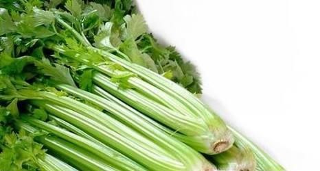 女生多吃哪些食物对身体比较好