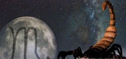 如何和天蝎男谈恋爱