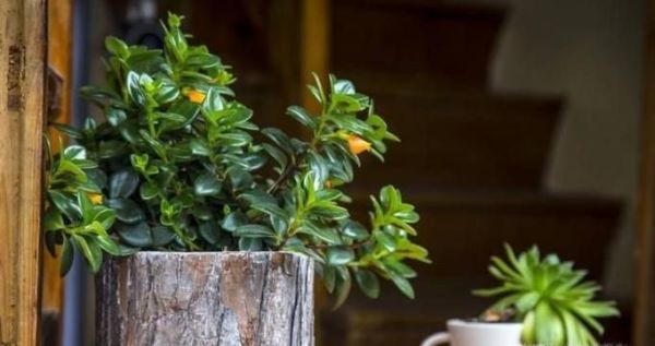 台风来了，我们应该采取哪些防范措施？