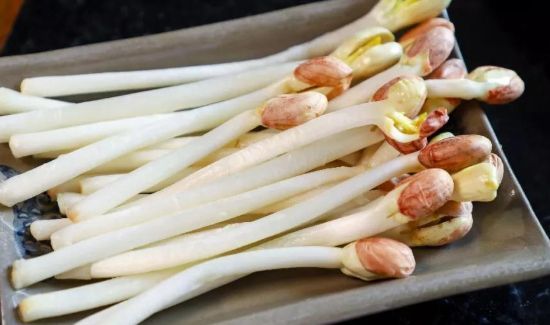 花生芽能吃吗有毒吗