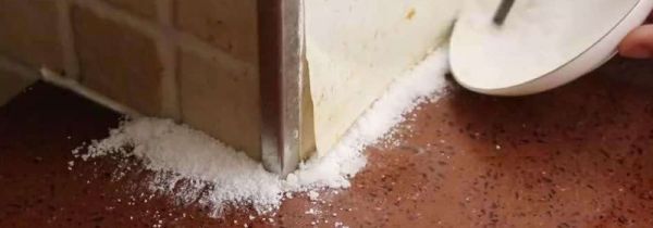 蚂蚁药撒地上多久失效