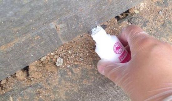 蚂蚁药撒地上多久失效