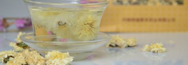 芦根黄芪金银花泡水功效