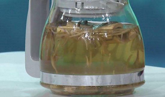 芦根黄芪金银花泡水功效