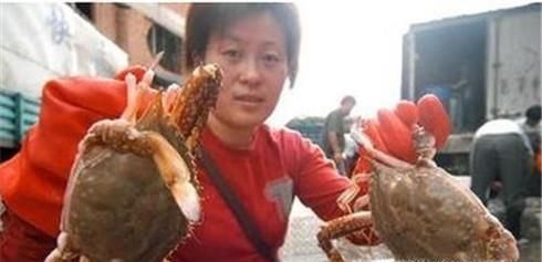 教你如何挑选肥美的梭子蟹