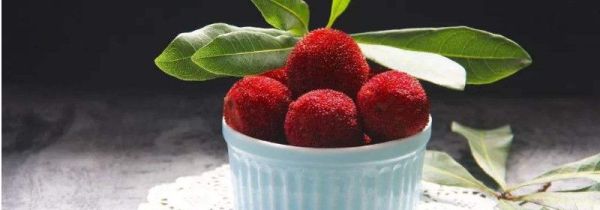 杨梅可以不清洗吗