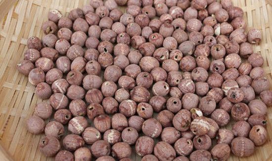 莲子长虫子了还能吃吗