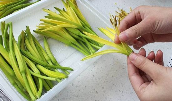 新鲜黄花菜有毒吗?怎么吃