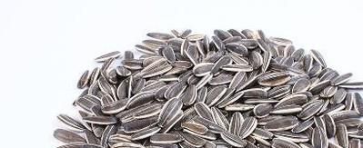 瓜子常用的5种类型