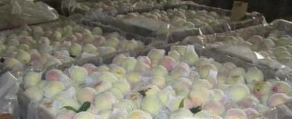 水果店水果怎么保鲜