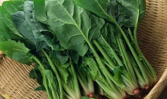 豆腐可以和菠菜一起吃吗