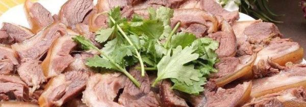 狗肉可以和豆腐一起吃吗?