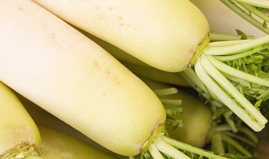 狗肉可以和萝卜一起炖吗