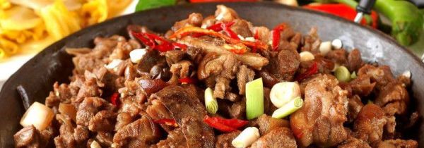 狗肉可以和萝卜一起炖吗