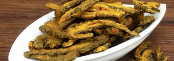 黄连泡水可以每天喝吗