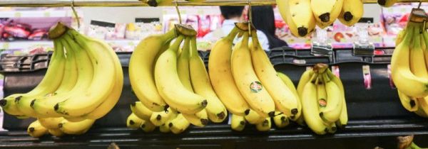 鸡蛋可以和香蕉一起吃吗