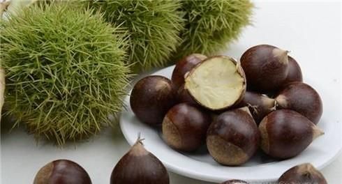 告诉你板栗与锥栗的区别，如何区别锥栗与板栗