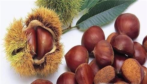告诉你板栗与锥栗的区别，如何区别锥栗与板栗