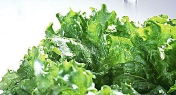 绿叶蔬菜的保存，如何保存蔬菜