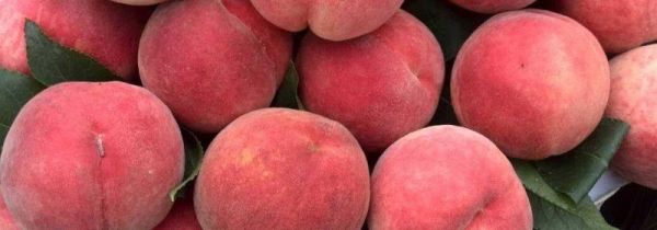 桃子可以和枣子一起吃吗