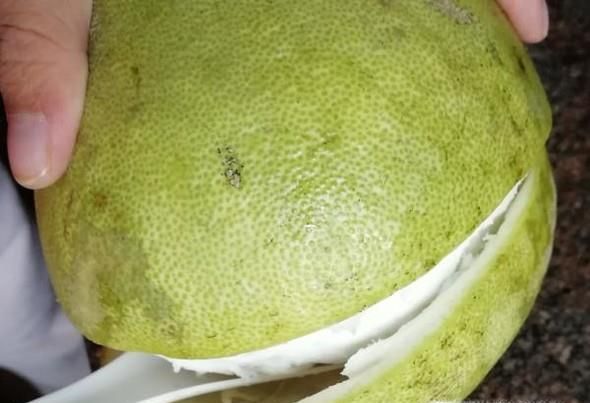 怎么剥柚子——怎么剥柚子皮快