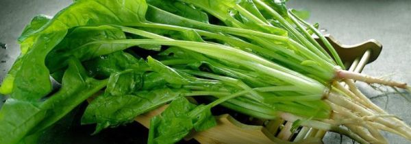 菠菜可以和虾一起吃吗