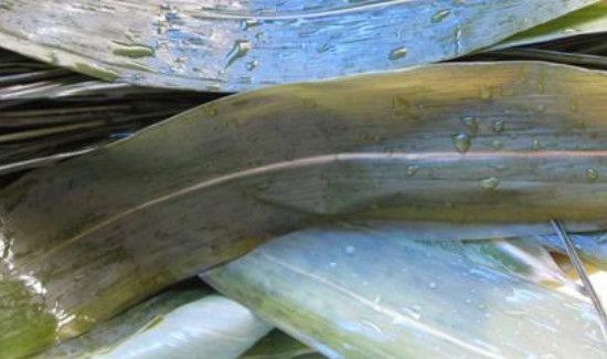 粽叶怎么处理才不会粘米