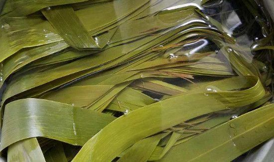 粽叶怎么处理才不会粘米