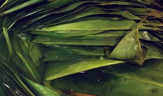 粽叶怎么处理不容易破