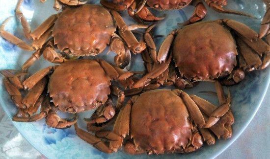 螃蟹可以和芒果一起吃吗