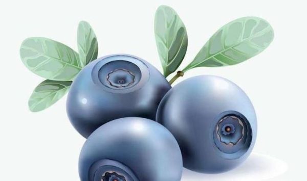 各类水果的营养价值吃水果有什么好处