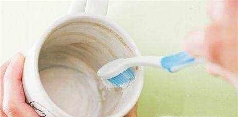 怎样去除茶杯中的茶垢