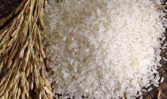 大米生虫子了怎么清除