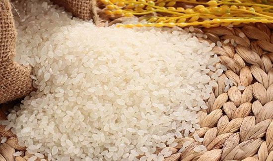 大米生虫子处理小诀窍