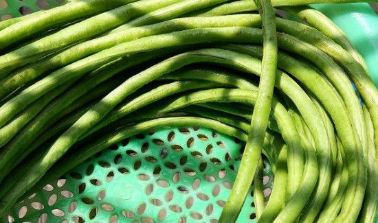 酸豆角怎么泡又酸又脆